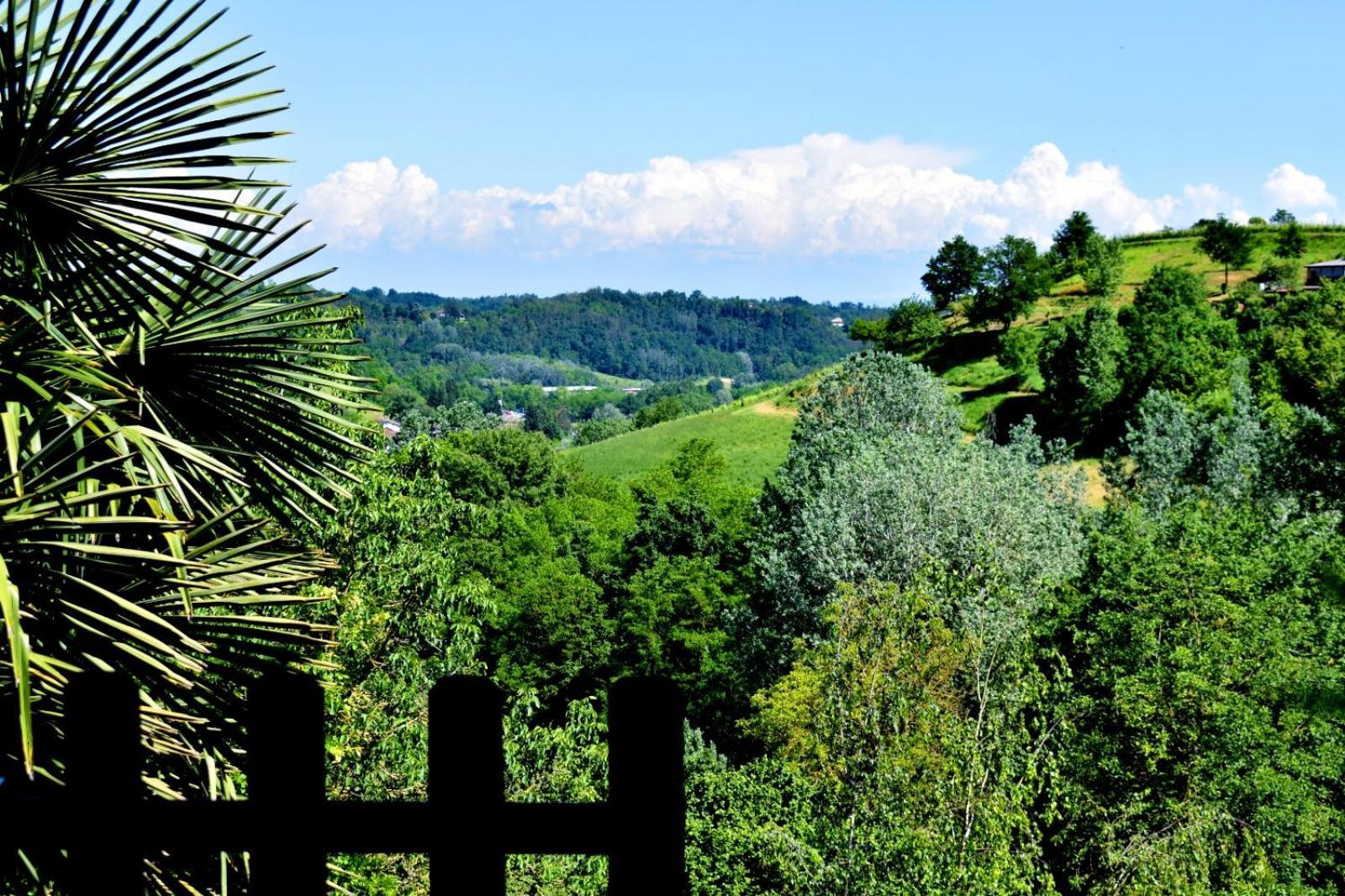 Portacomaro Appartamento In Monferrato Di Dominga מראה חיצוני תמונה
