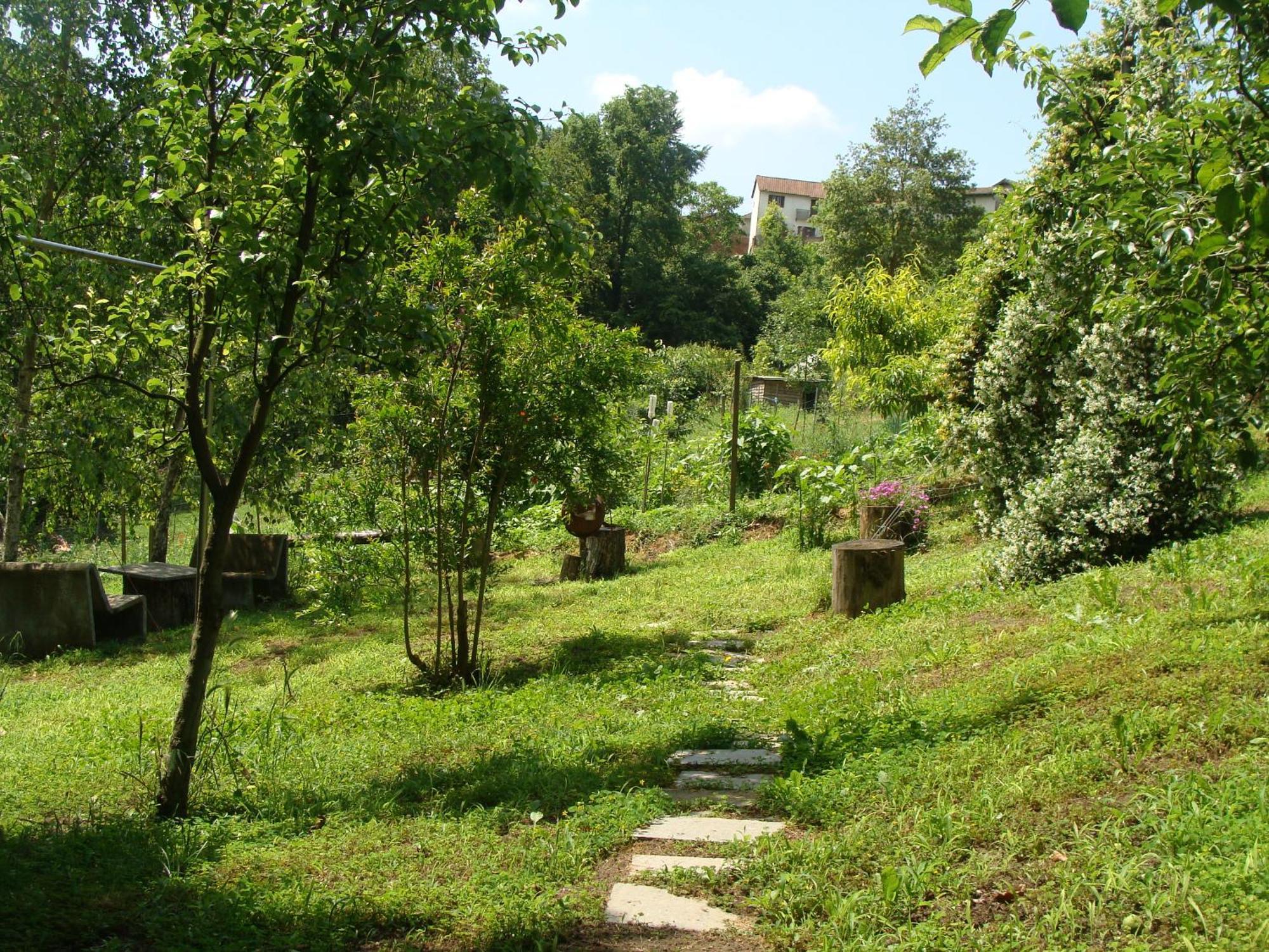 Portacomaro Appartamento In Monferrato Di Dominga מראה חיצוני תמונה