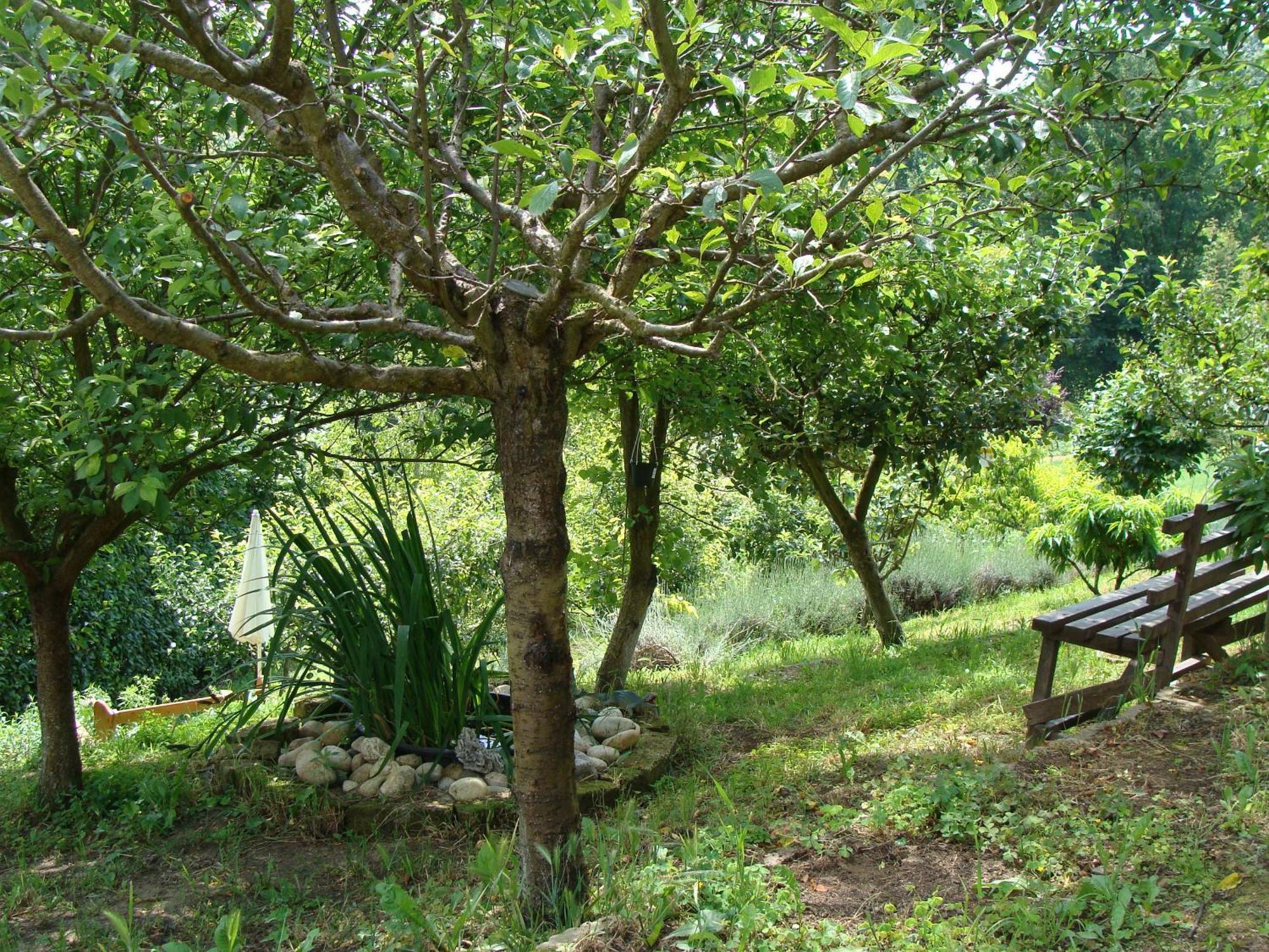 Portacomaro Appartamento In Monferrato Di Dominga מראה חיצוני תמונה